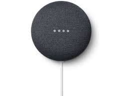 Google Nest Mini Assistant